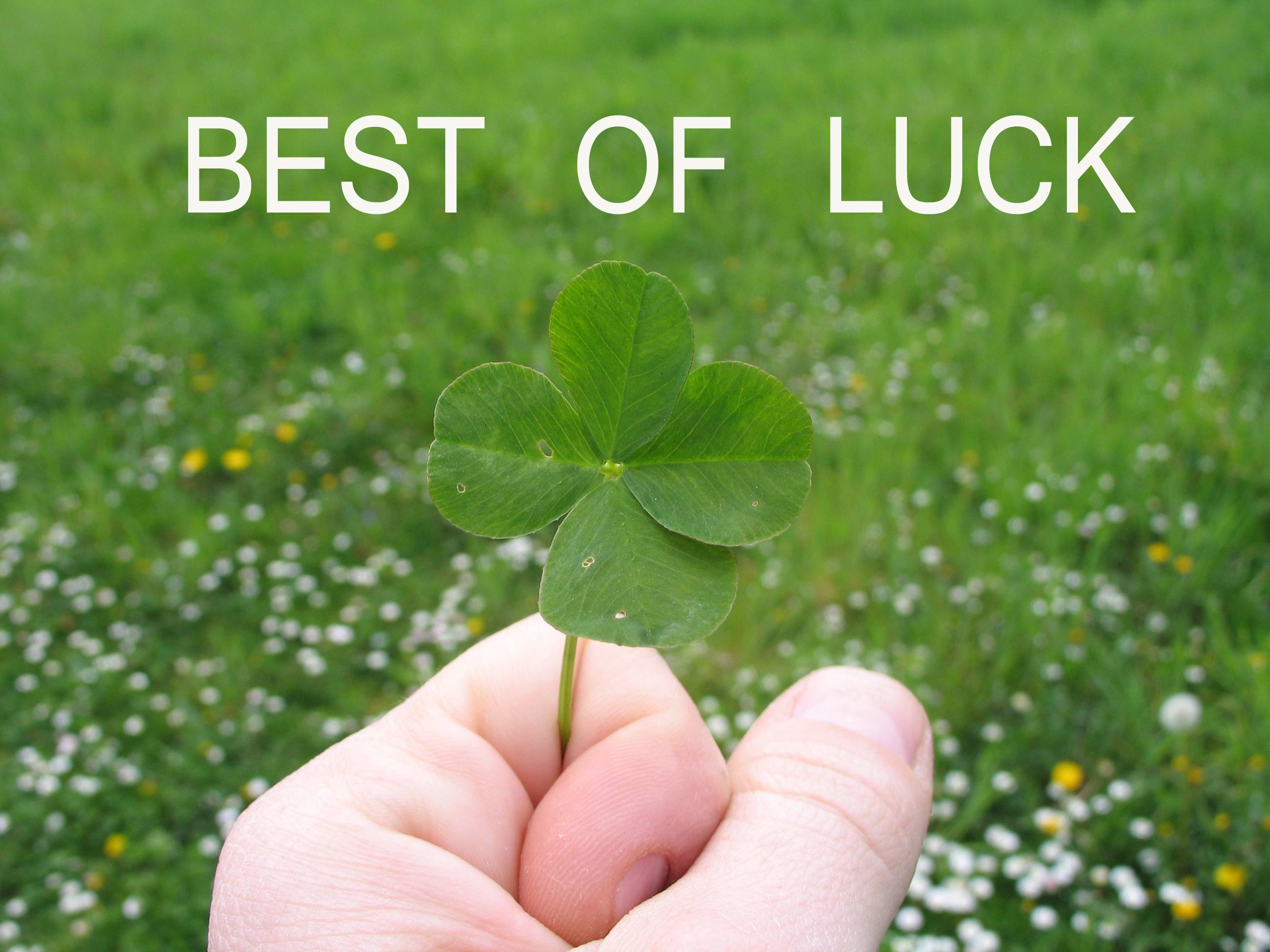 35 Good Luck Exam Wishes For GCSE & Students : Best of luck on your exams!  I Take You | Wedding Readings | Wedding Ideas | Wedding Dresses | Wedding  Theme