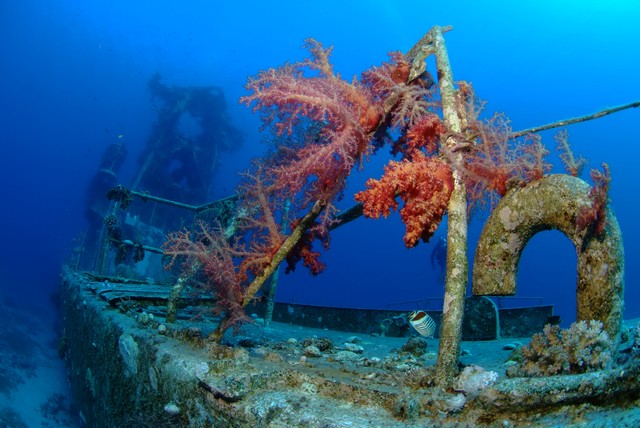 22 Free Underwater HD Wallpapers Scuba Diving Reviews Blog