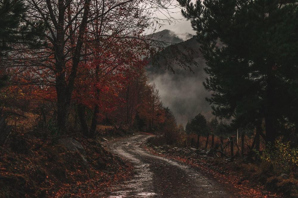 Moody Landscape Pictures Image