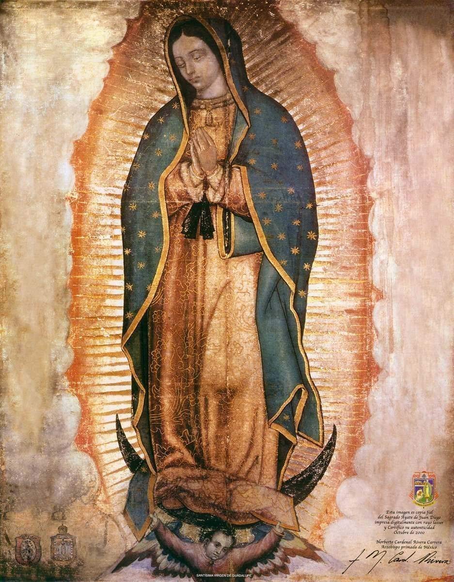 Our Lady Of Guadalupe HD Wallpaper Background