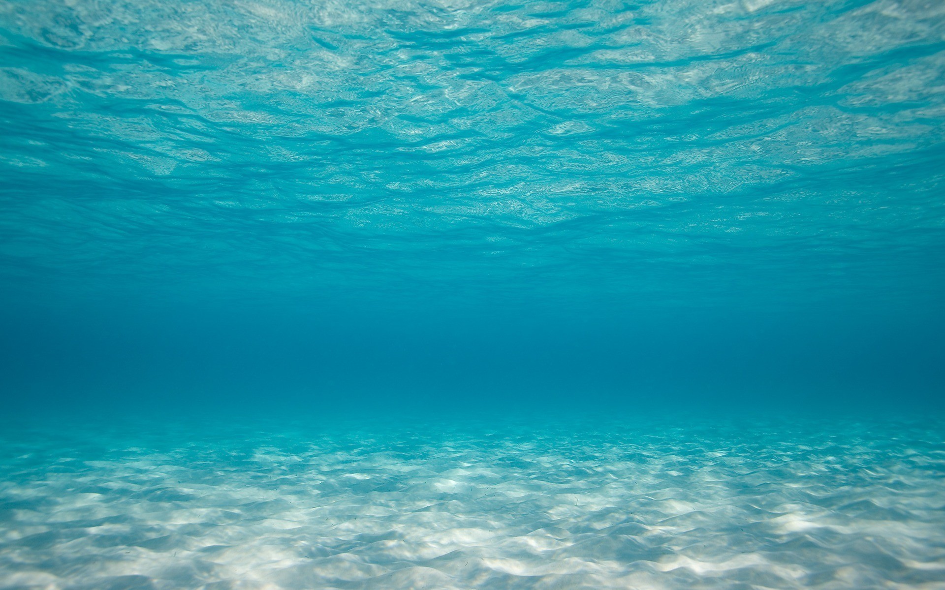 Sea Underwater Wallpaper
