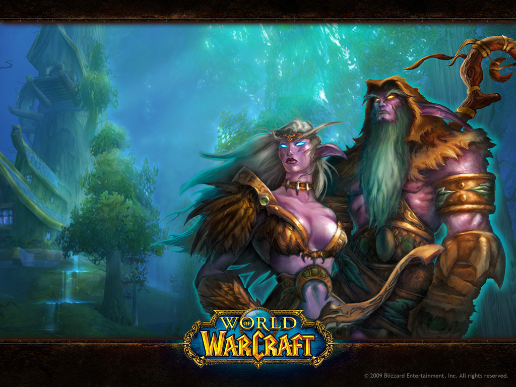 Blizzard Entertainment World Of Warcraft