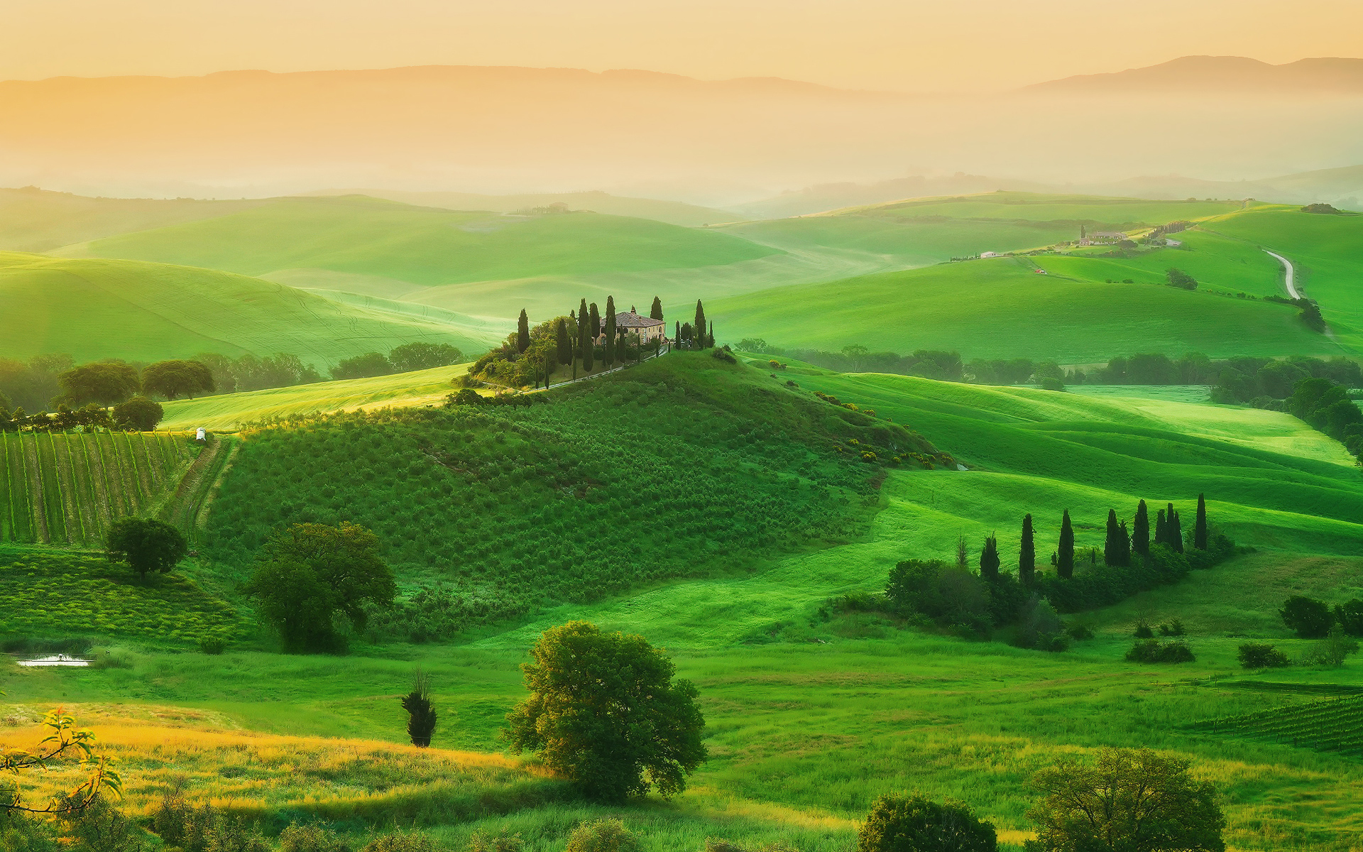 Tuscany Italy Morning Sunrise Green Field HD Wallpaper