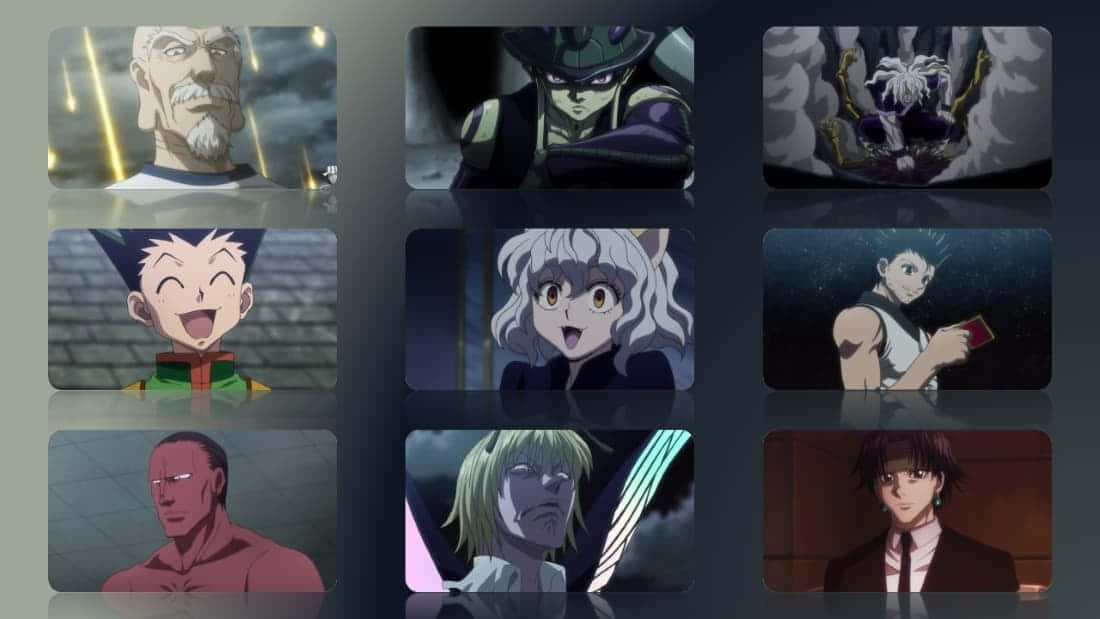 Character Collage Hunter X Pfp Wallpaper