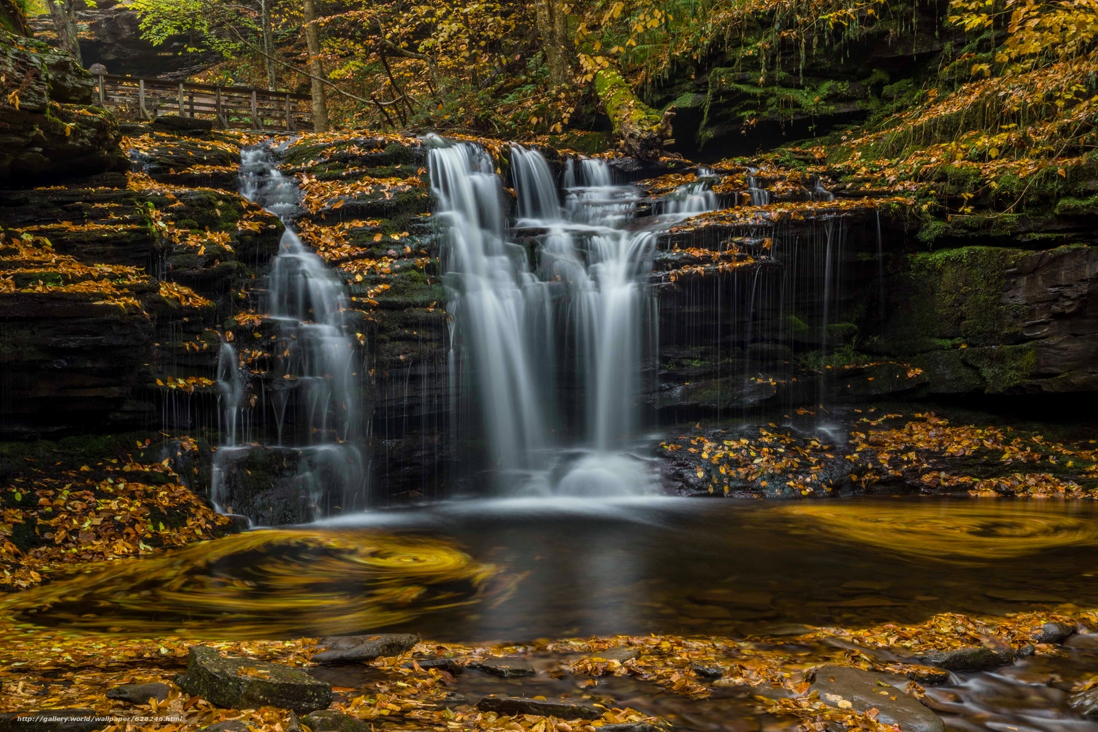 Glen State Park Pennsylvania Waterfall Desktop
