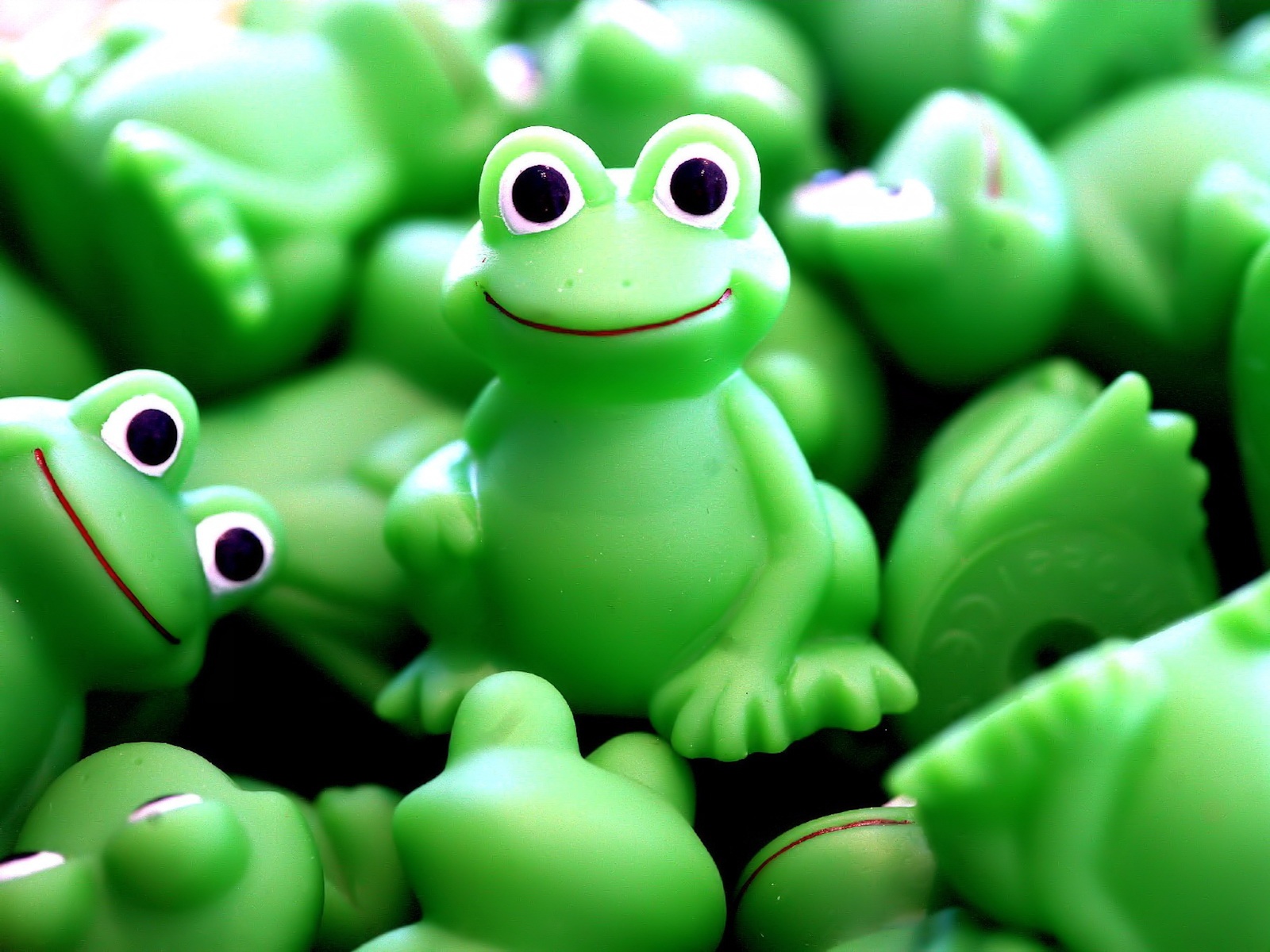 Pics Photos   Cute Green Frogs Free Desktop Background