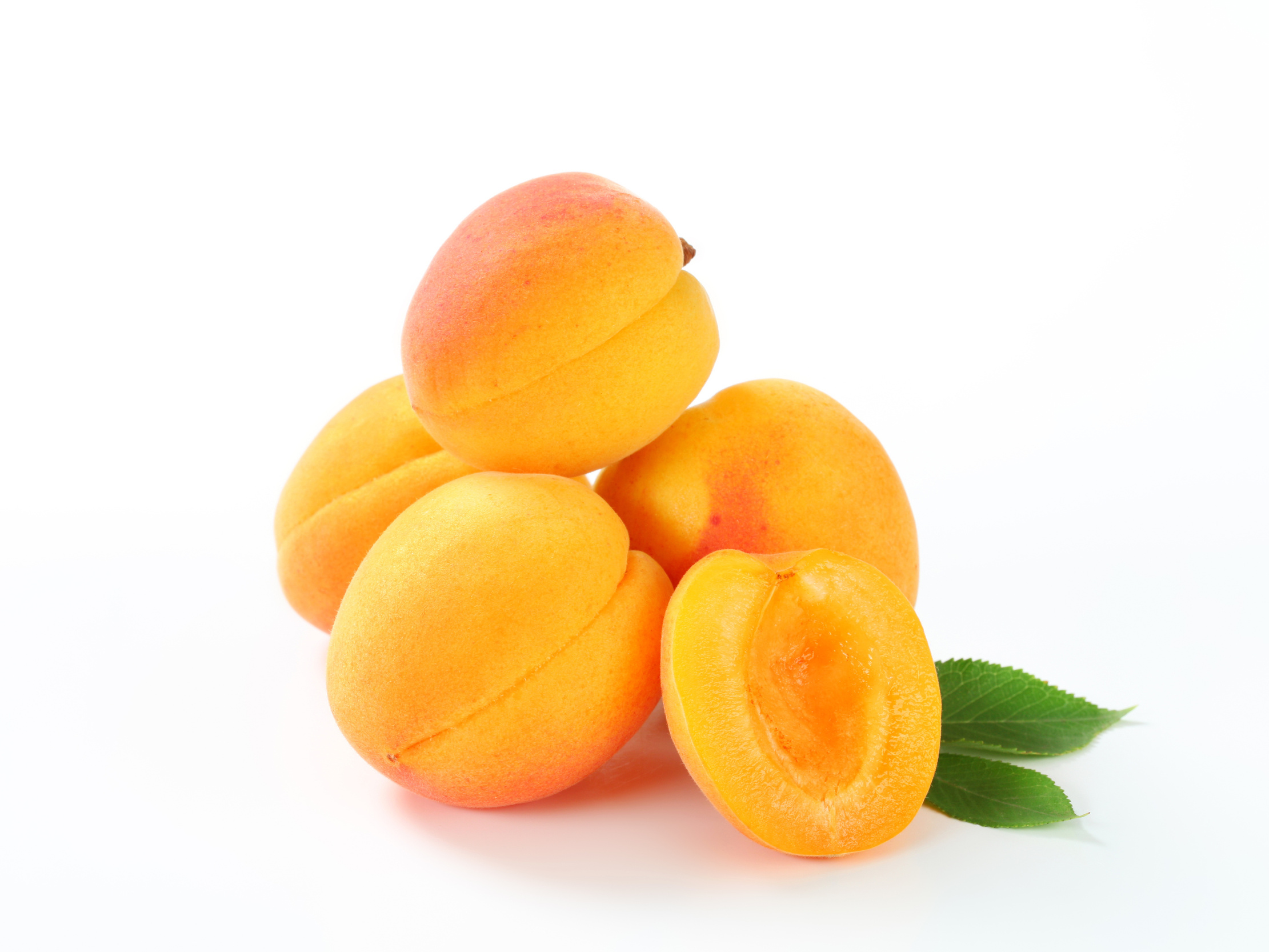 Free download Apricot White Background HD Images All White Background