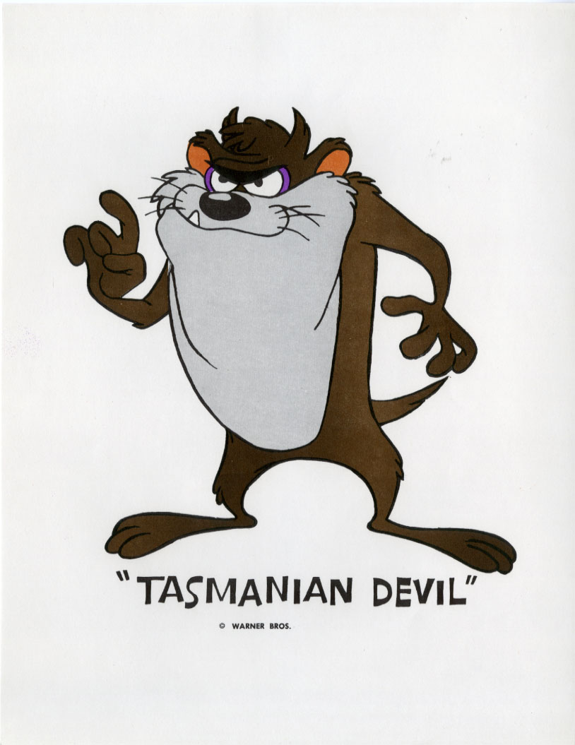 Tasmanian Devil Cartoon Cake Ideas And Designs