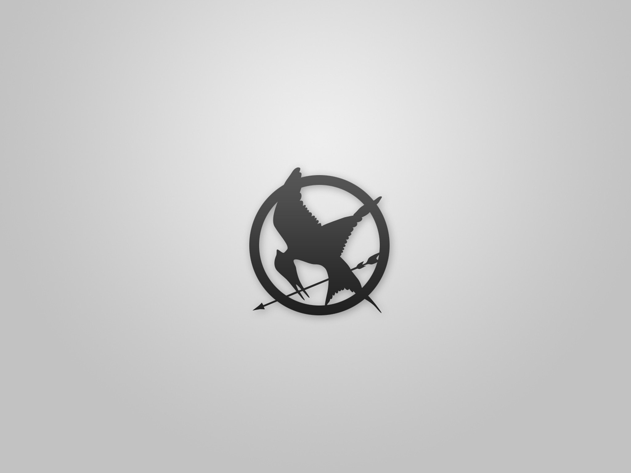 Hunger Games iPad Mini Wallpaper In Many Resolutions Bellow