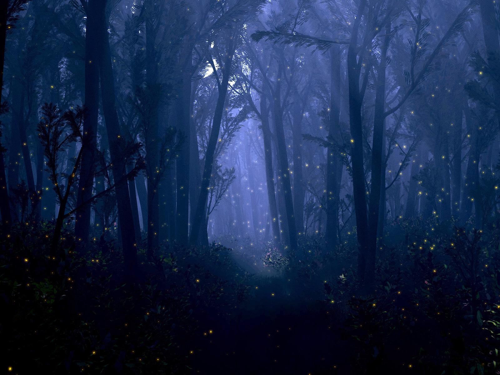 Night Bokeh Trees Firefly Insect Dream Mood Wallpaper Background