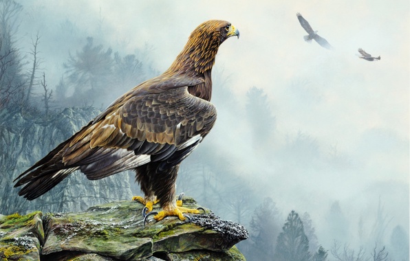 Eagle Painting Bird Flying Rocks Wallpaper