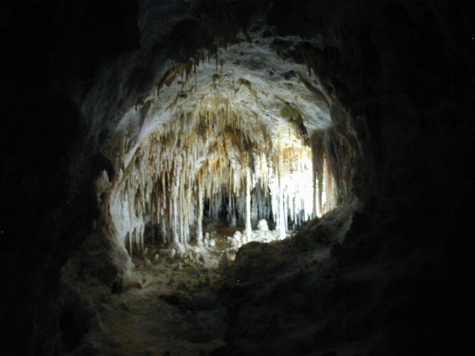 Carlsbad Caverns New Mexico S