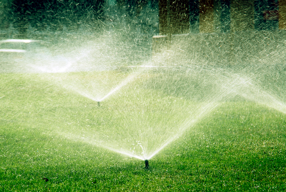 Sprinklers Point Landscape Lawn Services