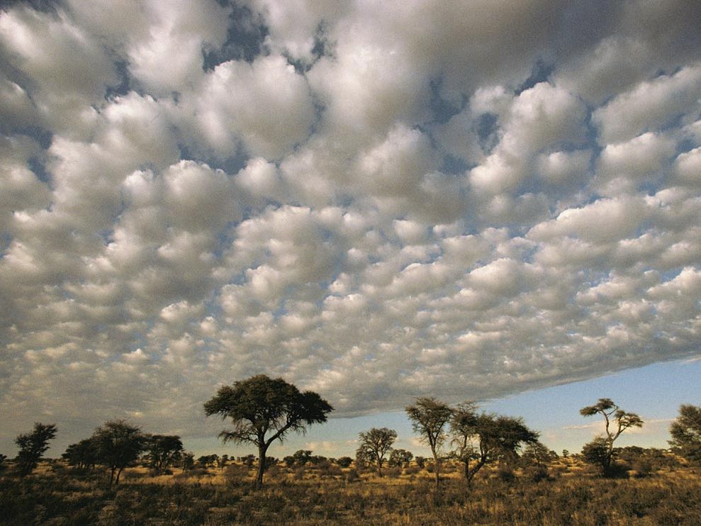 Kalahari Clouds