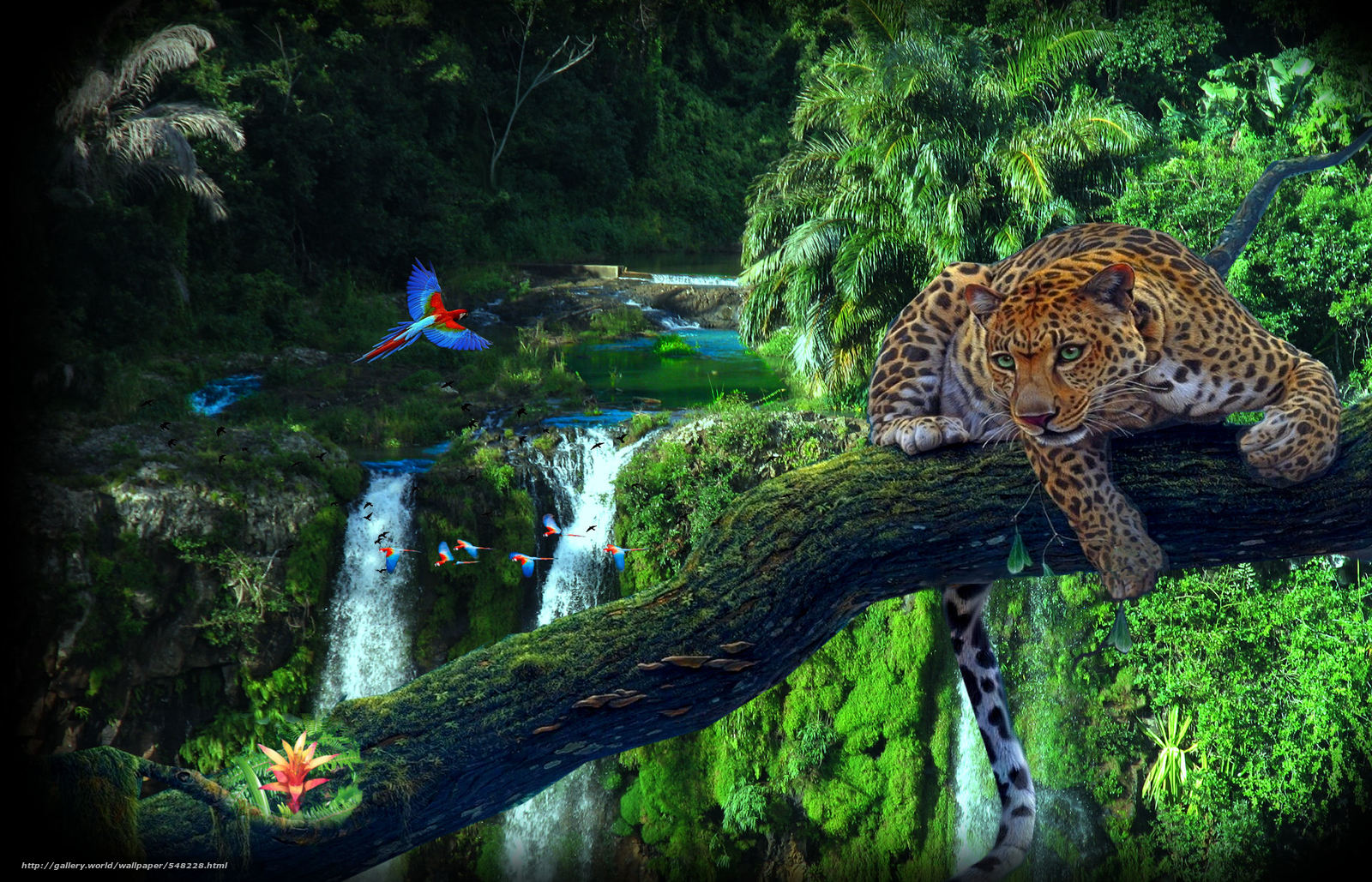 Wallpaper Amazon Jungl Tree Leopard Parrots Desktop