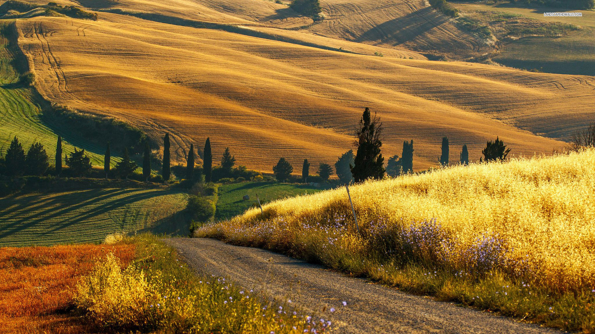 Tuscany Wallpaper