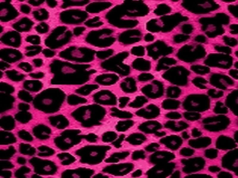 Pink Cheetah Graphics Code Ments Pictures
