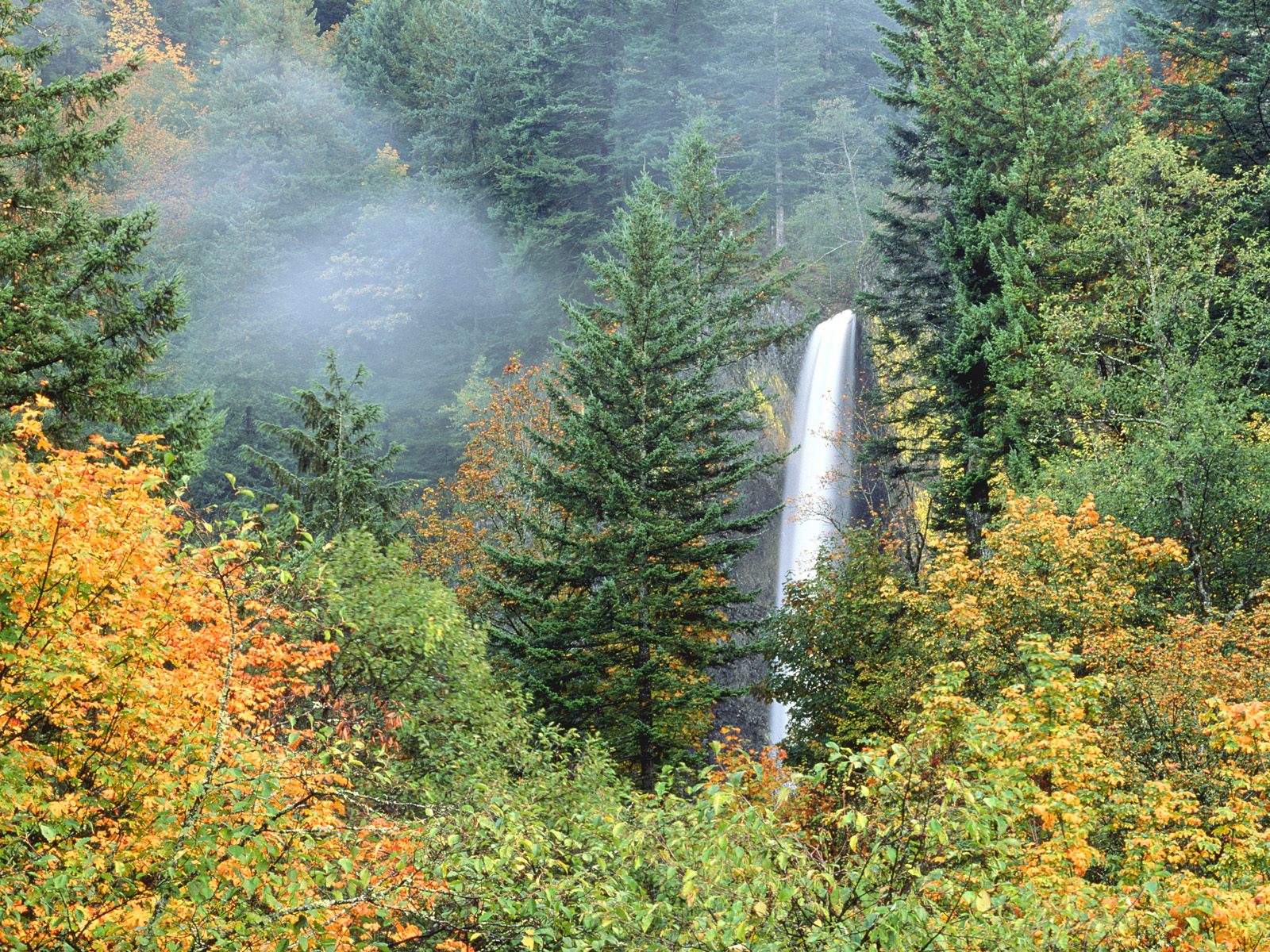   Waterfalls autumn Lightsteelblue Darkkhaki Wallpaper free