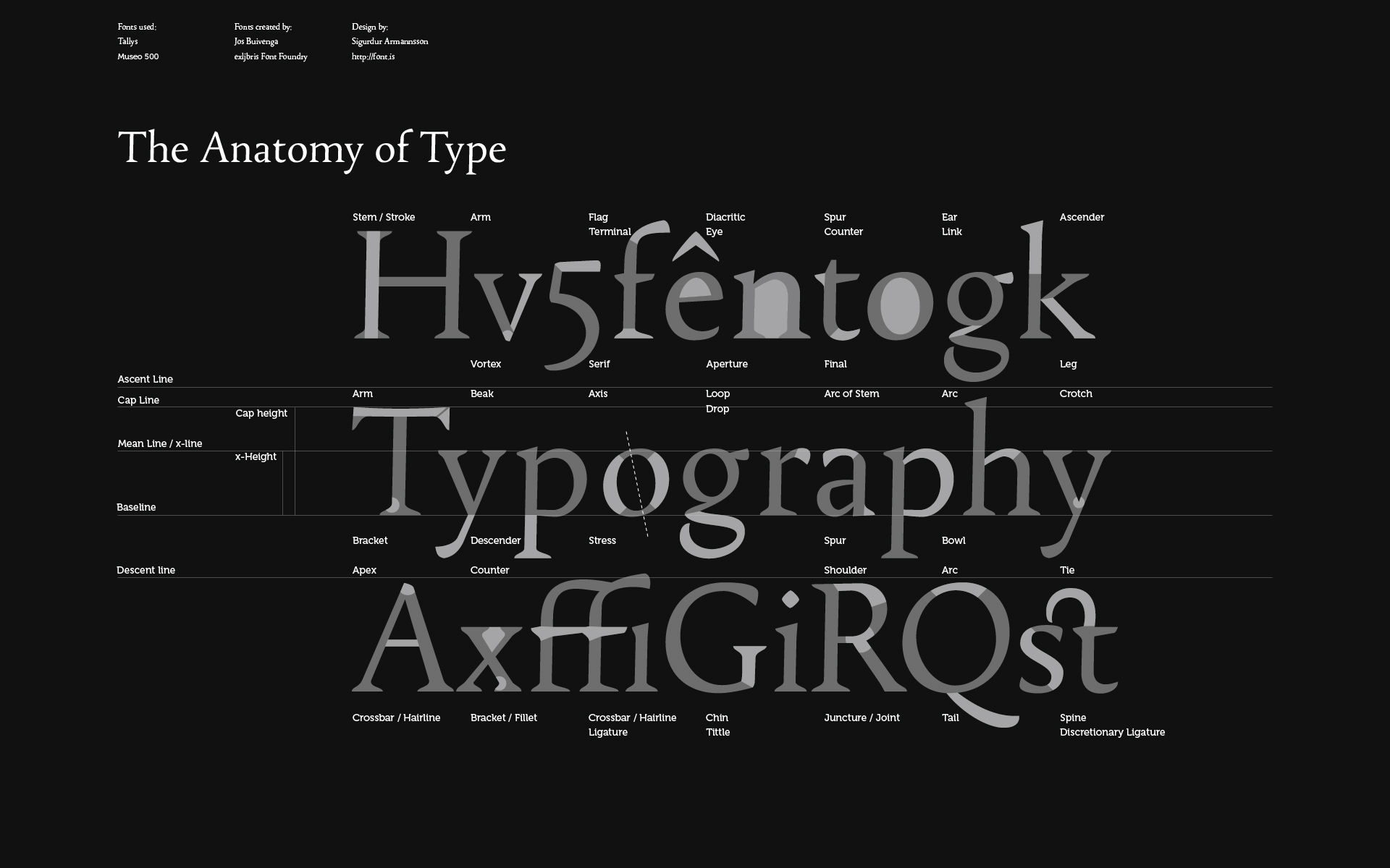 Font Is Wallpaper Anatomy