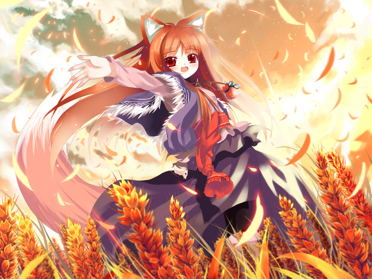 Muryou Anime Wallpaper Gt Spice And Wolf Horo