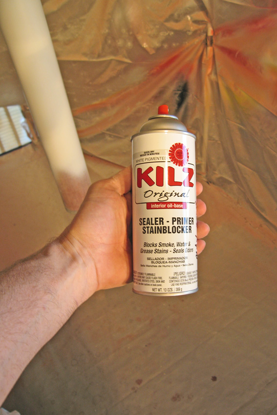 Painting Over Mold With Kilz Painting Inspired