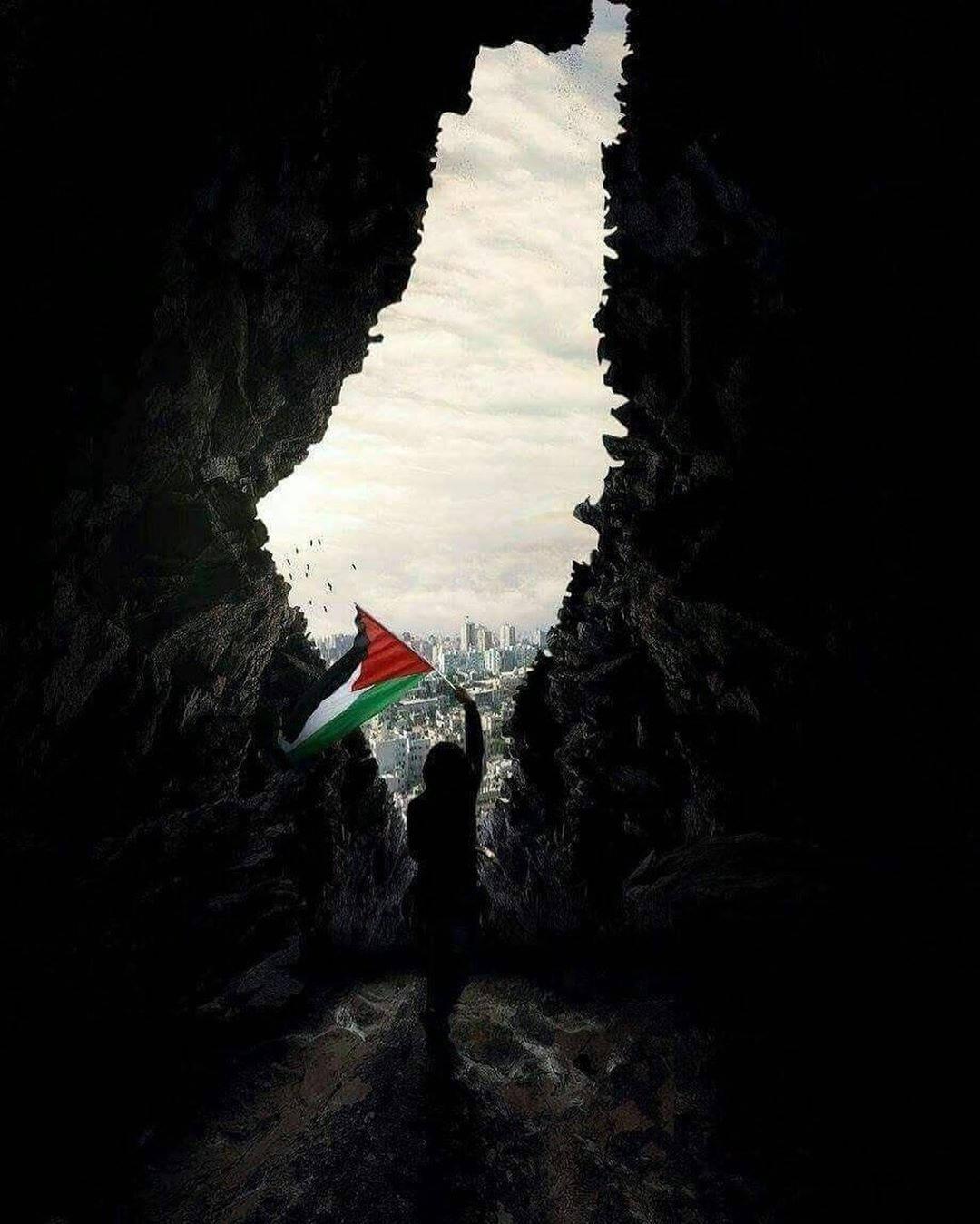 Palestine HD Wallpaper Background Mrwallpaper