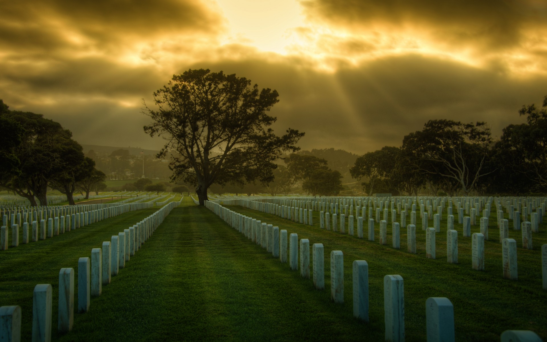 United States San Francisco Cemetery Usa Military Wallpaper Background