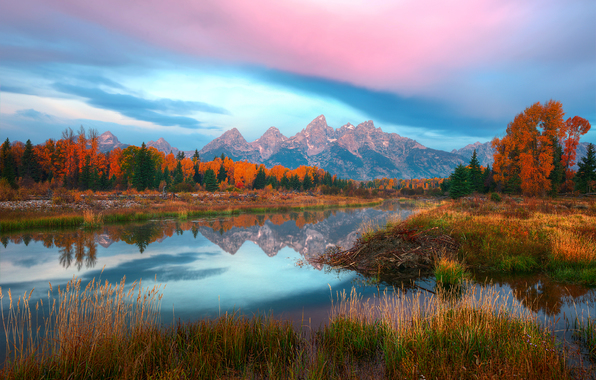 Wallpaper Usa Wyoming Grand Teton National Park Autumn