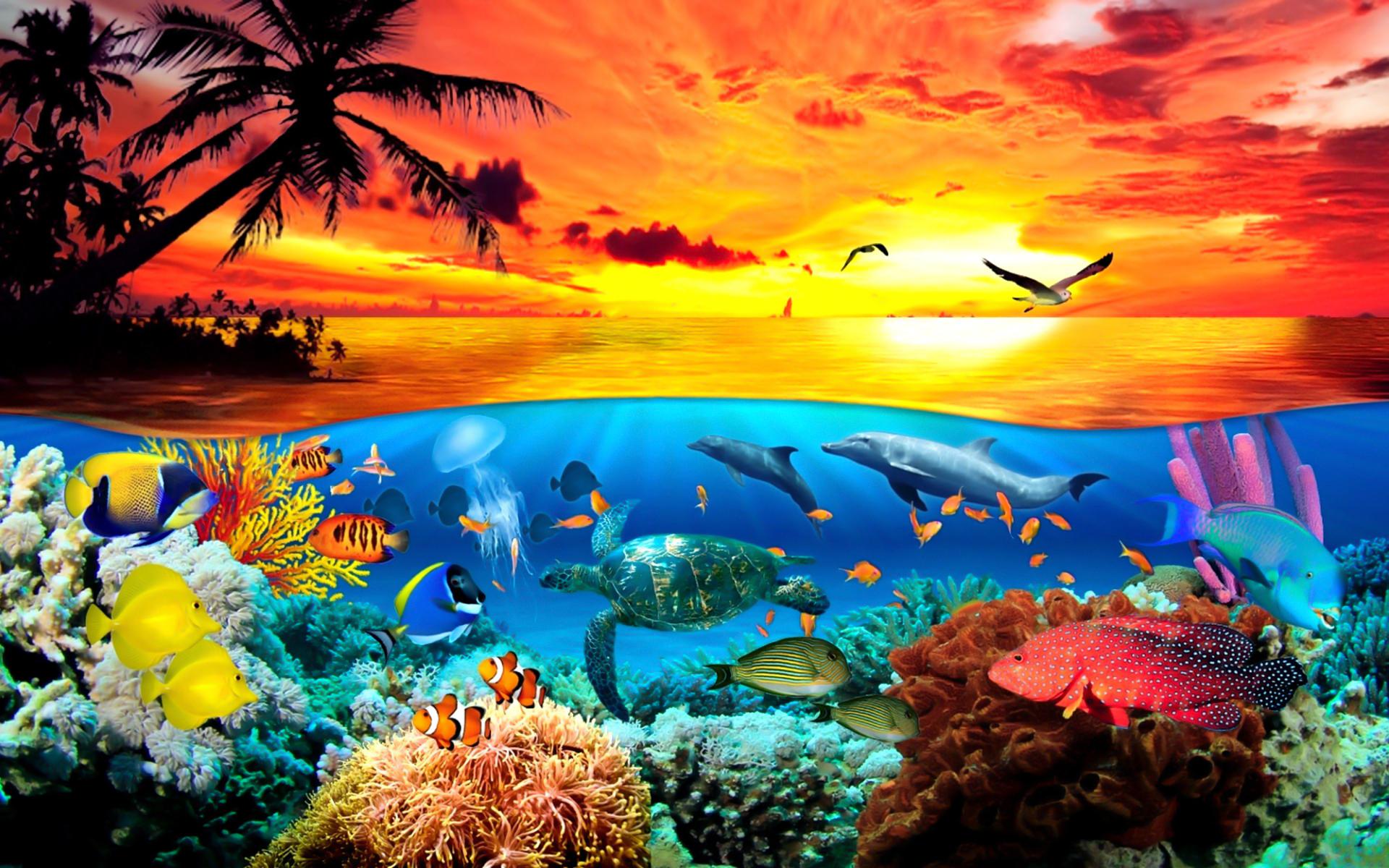 Under The Sea High Quality And Resolution Wallpaper On