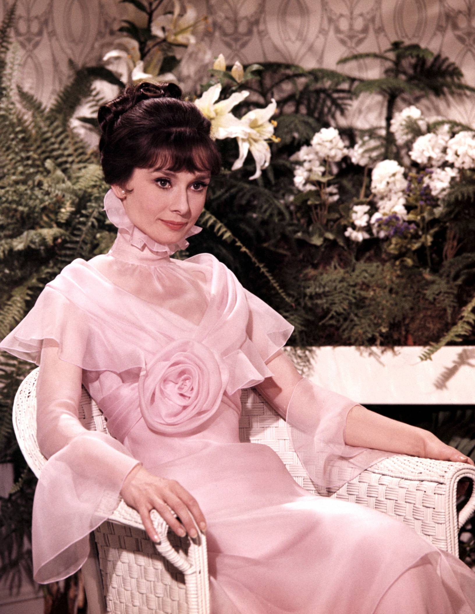 Audrey Hepburn My Fair Lady Classic Actresses Photo