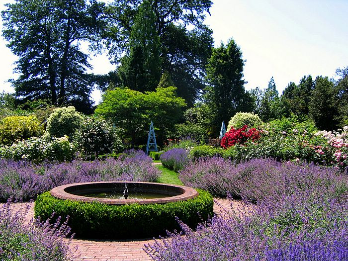 Beauty Of English Gardens Borde Hill Garden Wallpaper
