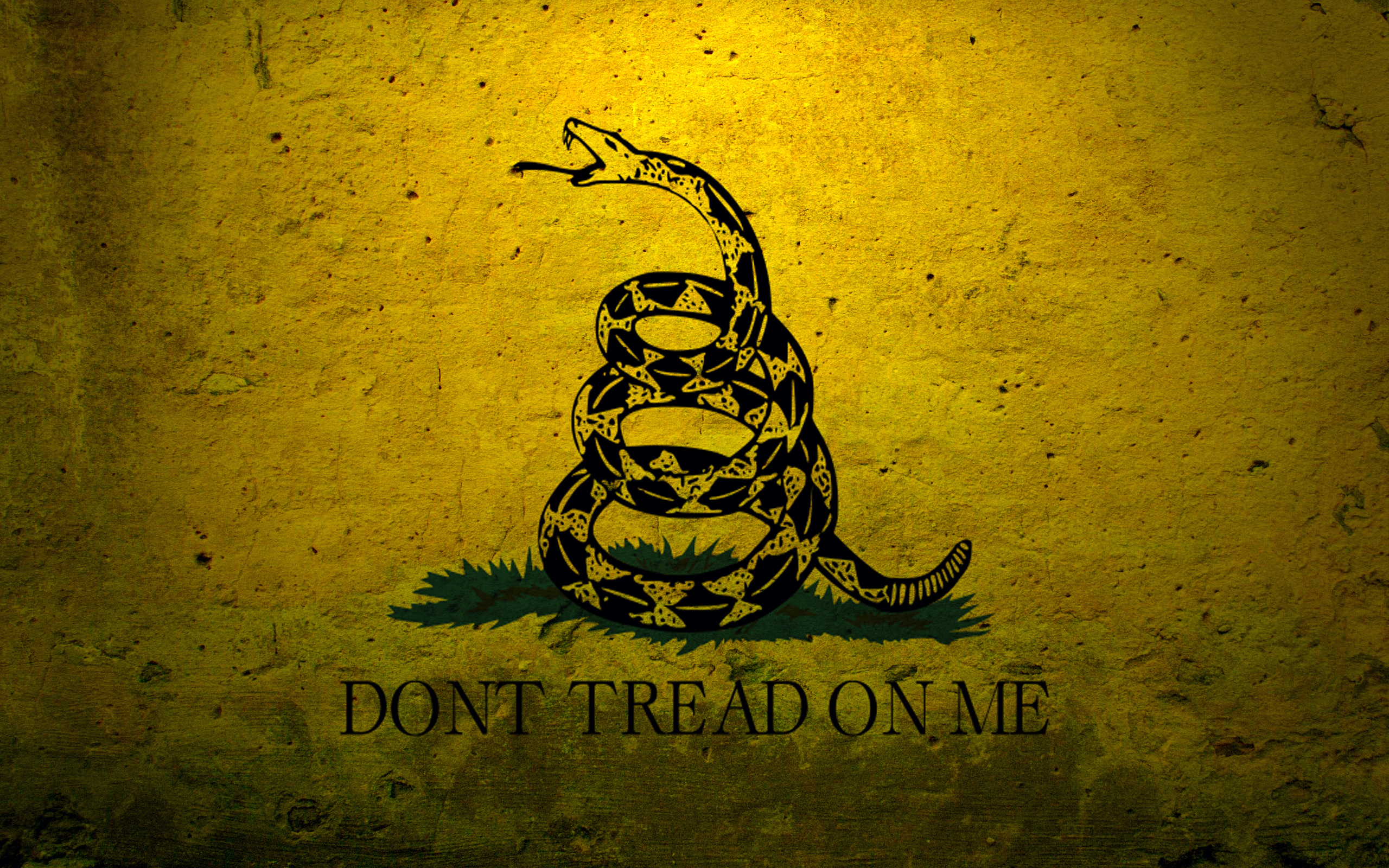 Military Flags Usa Navy Concrete Dont Tread On Me Gadsden Flag