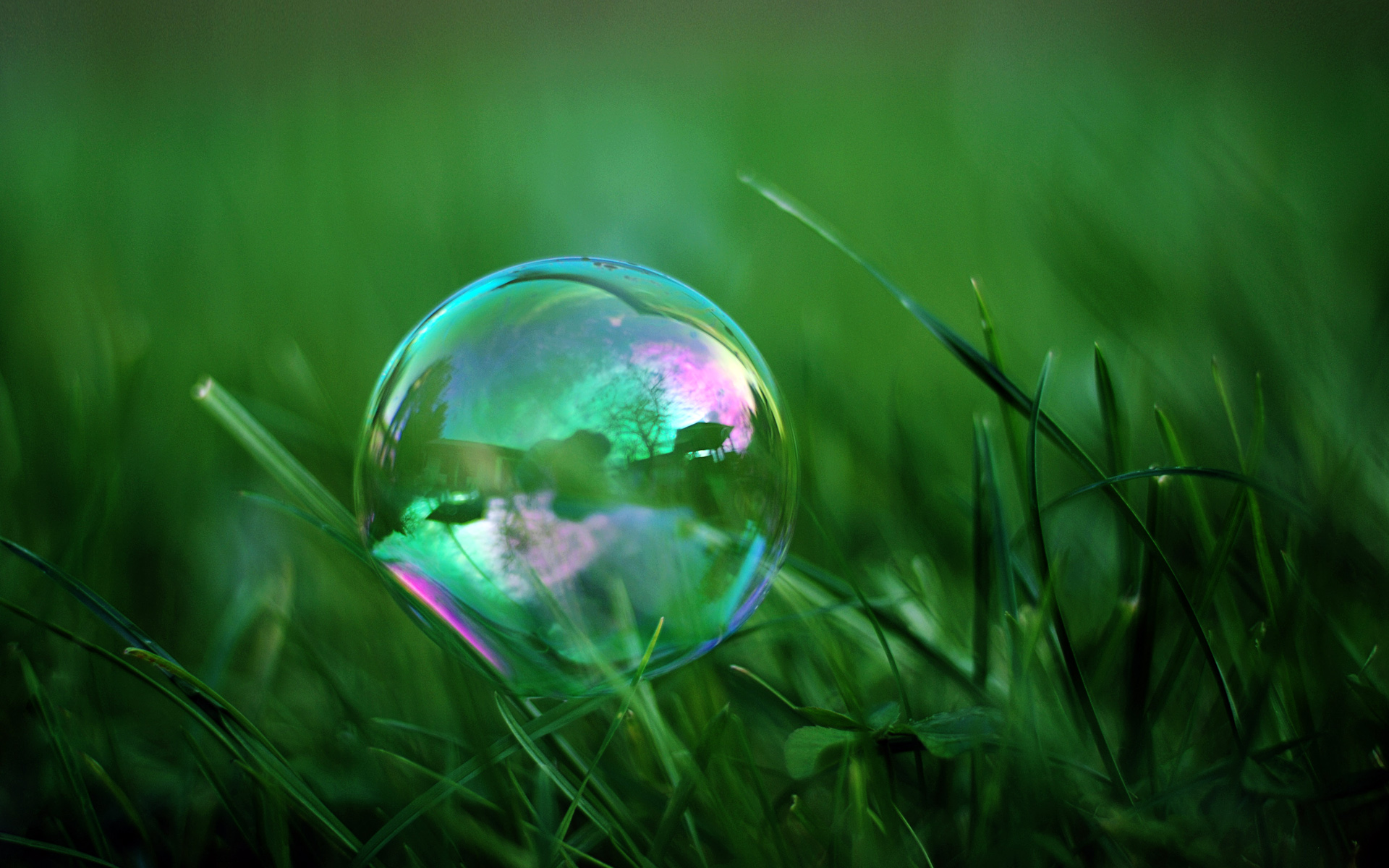 Soap Bubbles Wallpapers 1920x1200 HD Wallpapers