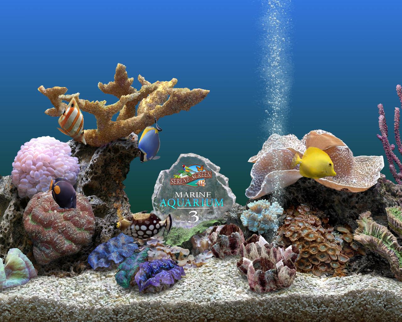 marine aquarium screensaver issues