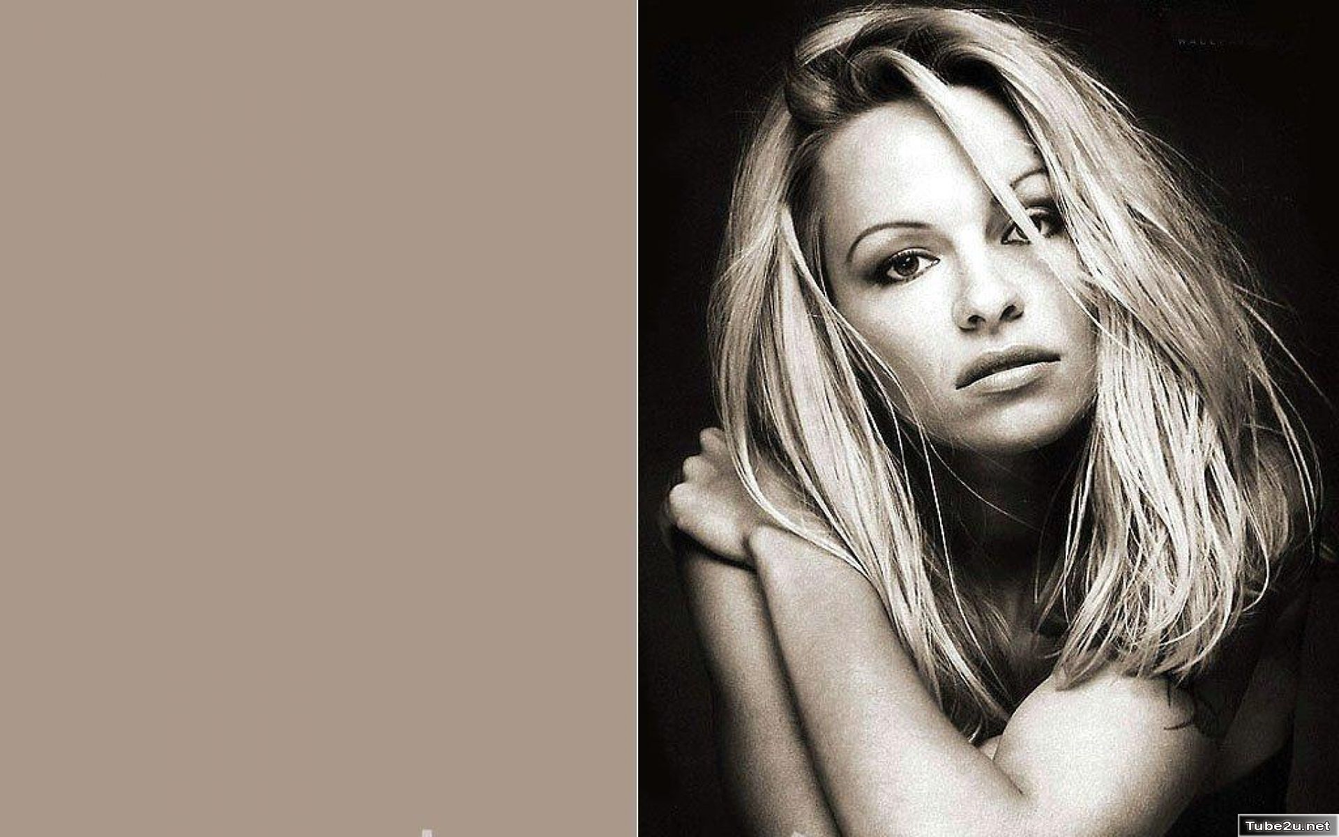 Pamela Anderson Wallpaper