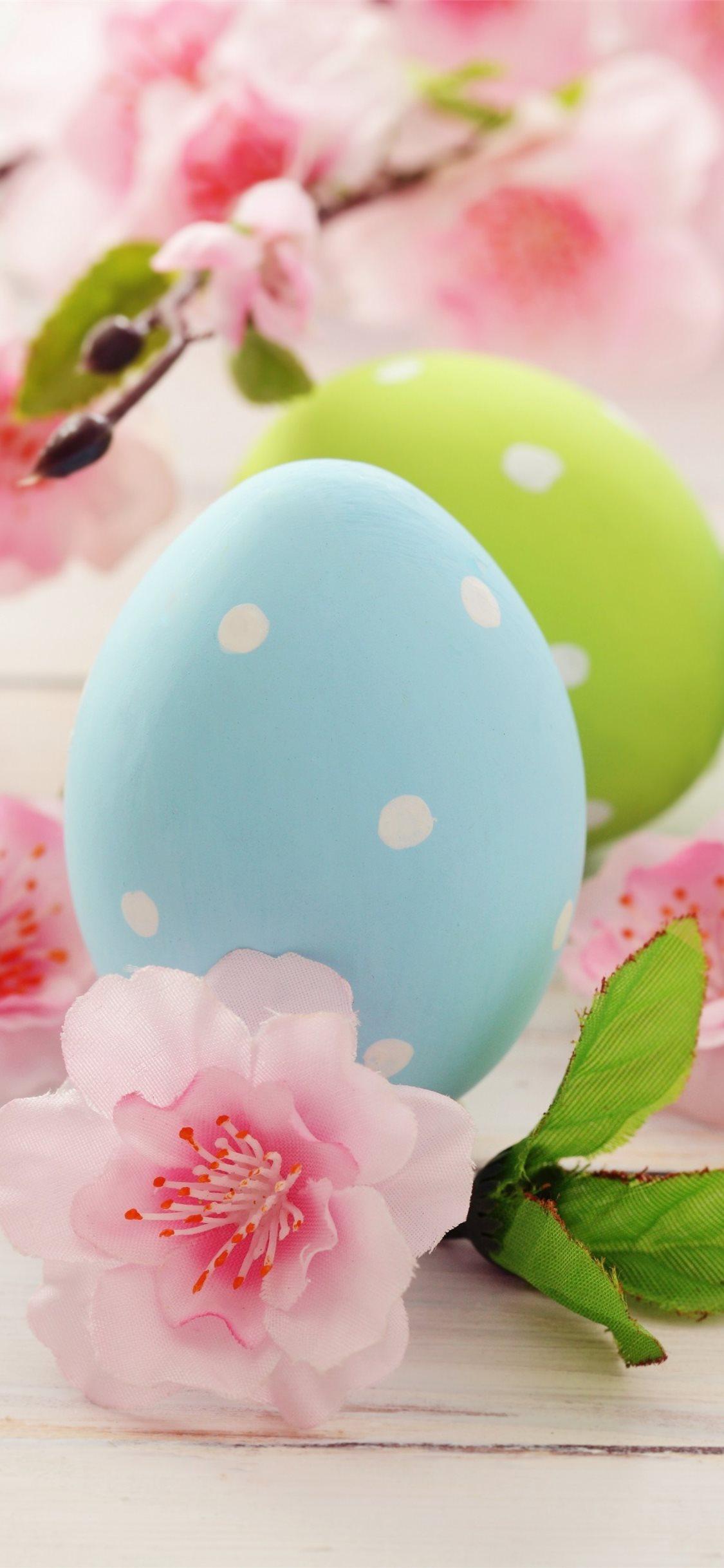Easter eggs Flowers 5K Celebrations 5569 iPhone 11 Wallpapers Free