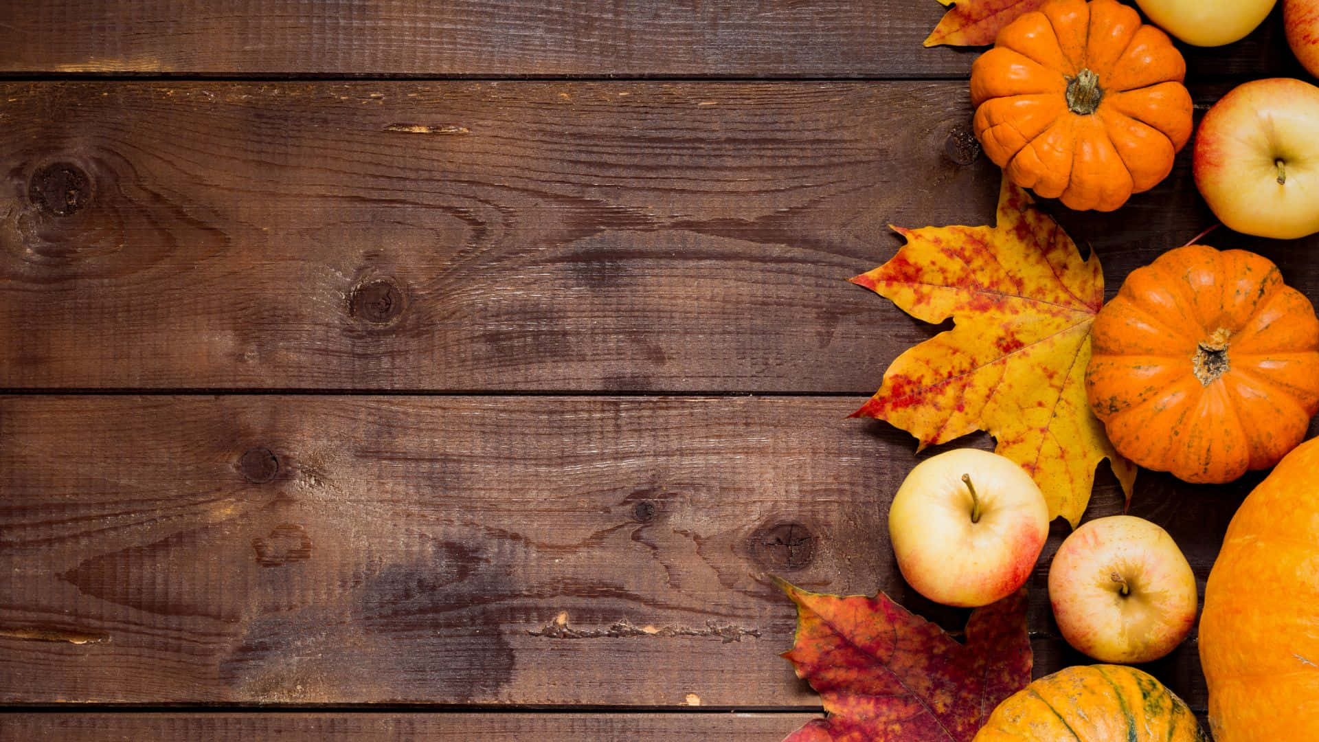 Cute Thanksgiving Background Wallpaper