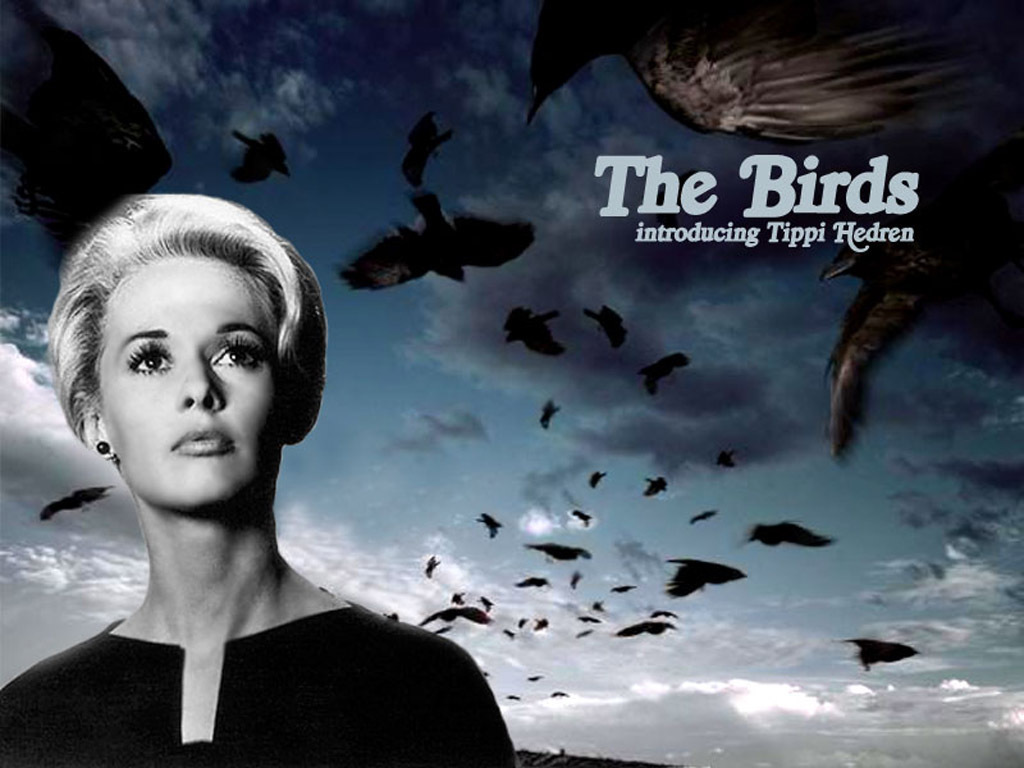 The Birds Alfred Hitchcock Wallpaper
