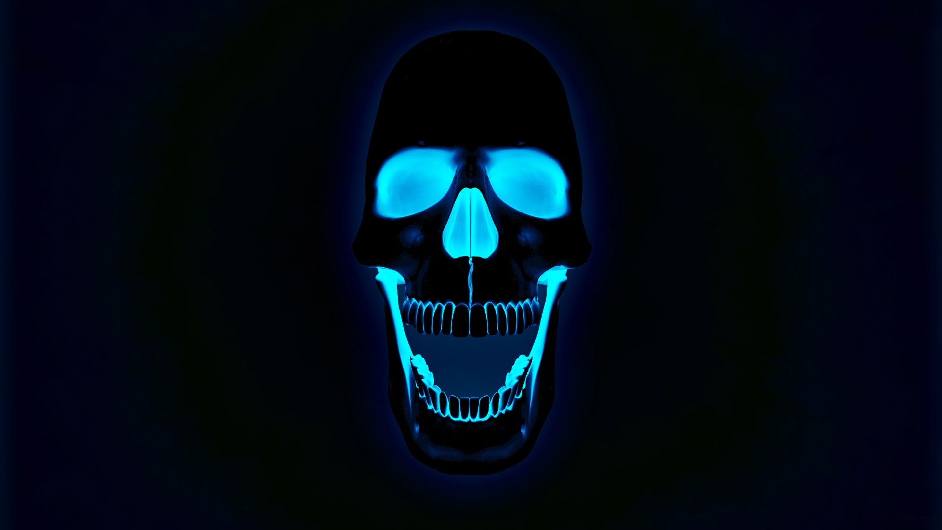 Glowing Neon Skull Photos HD Wallpaper Image Pictures