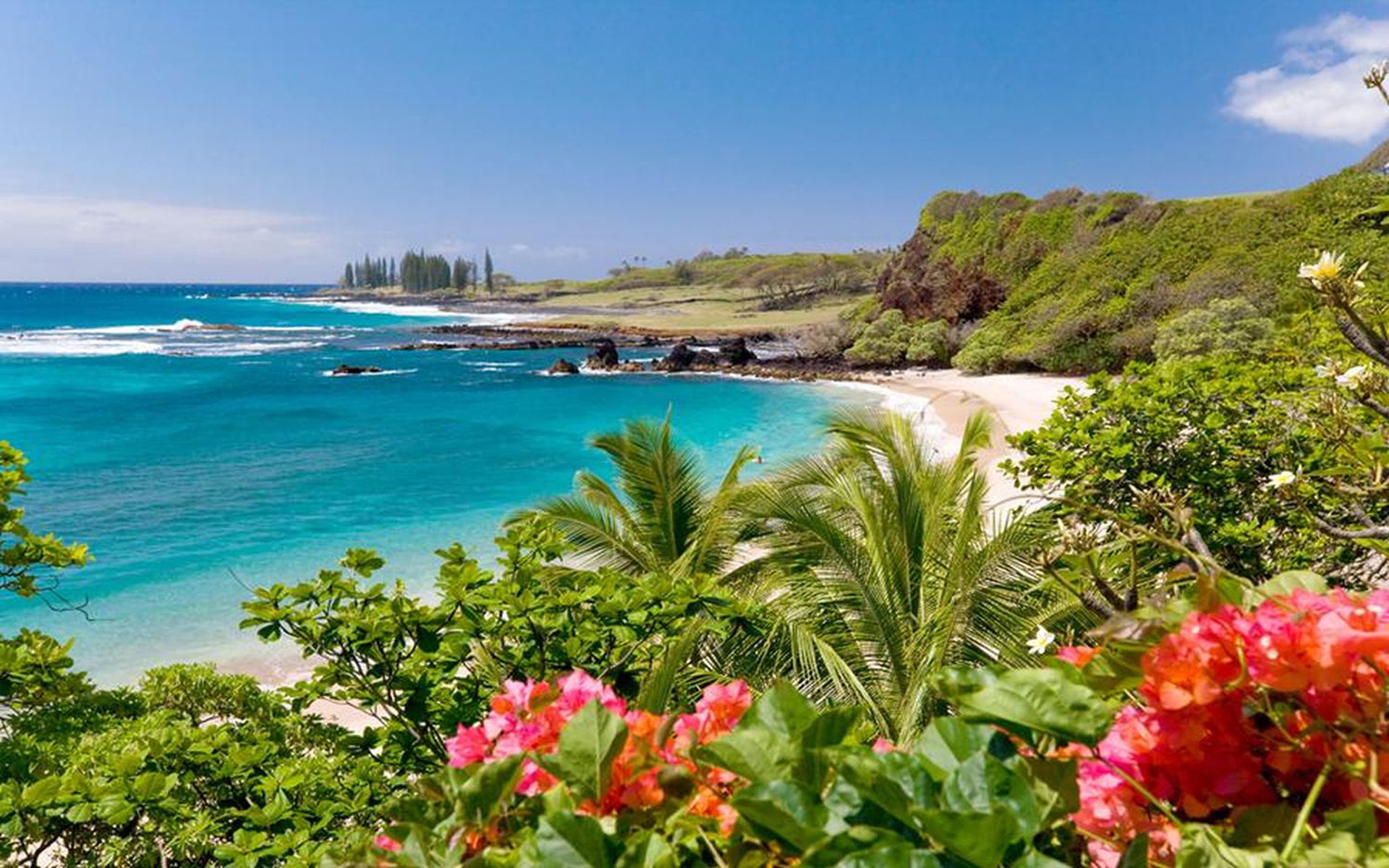 Scenic view of a secluded beach cove in Hawaii with turquoise water, white sand, lush greenery, and vibrant bougainvillea flowers
