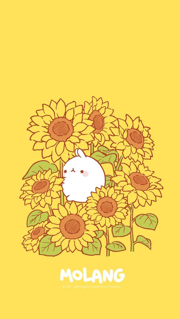 Molang Flower Wallpapers Discover The Sunflower Wallpaper of Molang