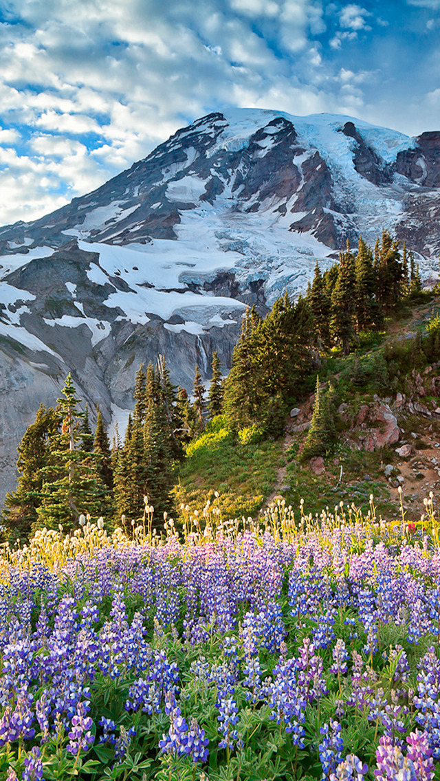 Mount Rainier National Park Wallpaper Apps 148apps