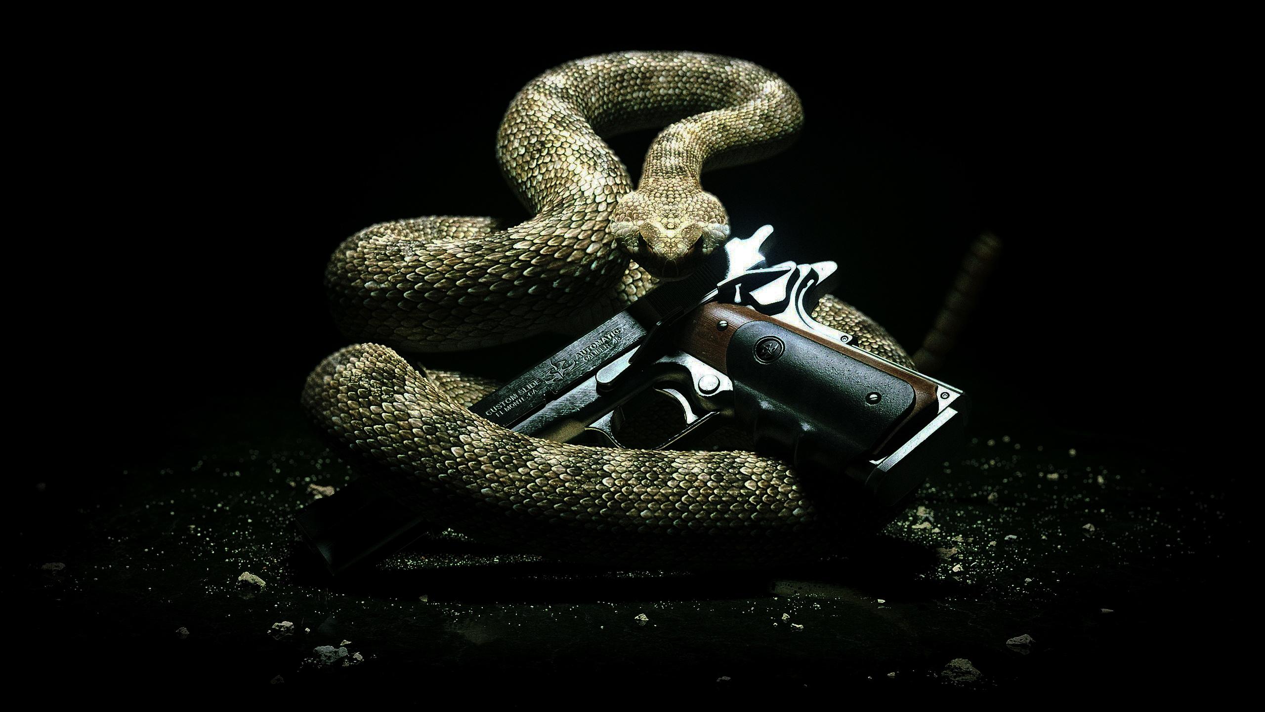 Hitman Absolution Wallpaper