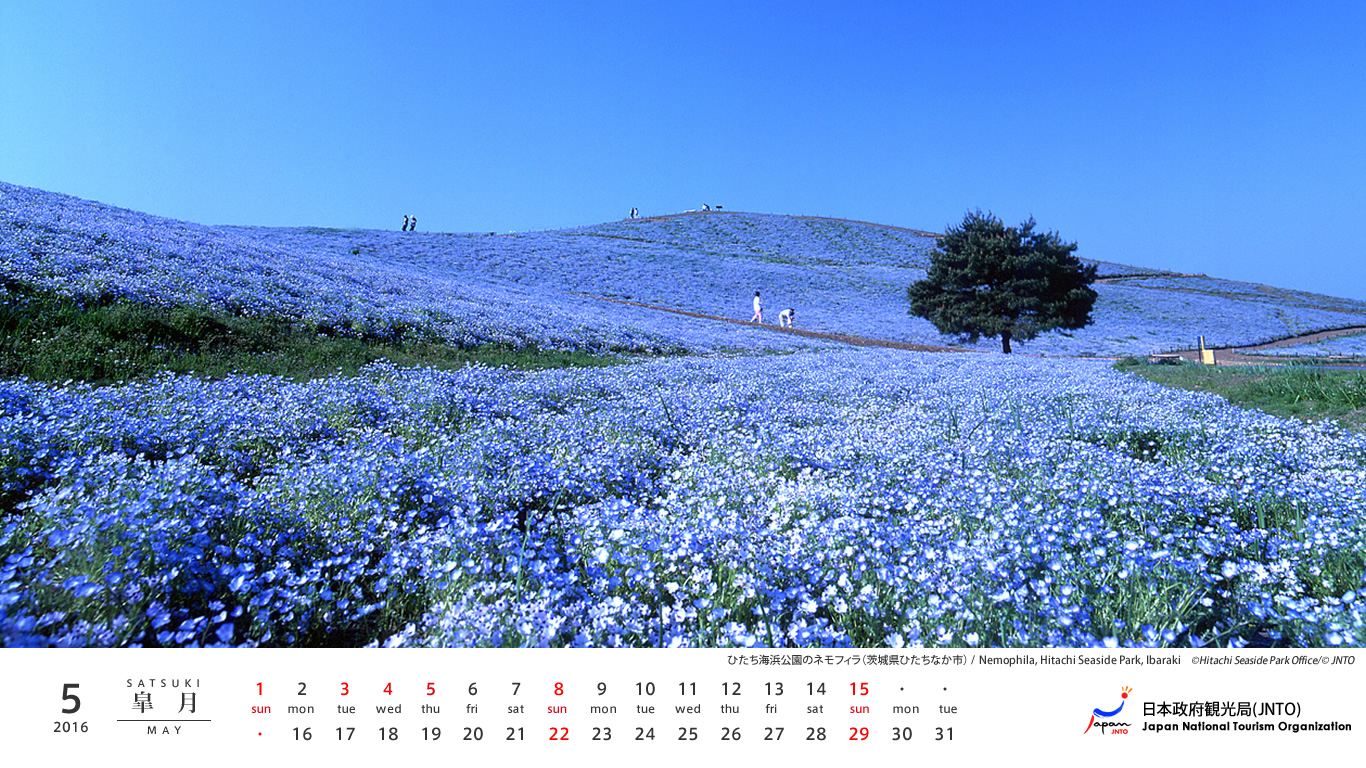 Japan National Tourism Organization Desktop Calendar