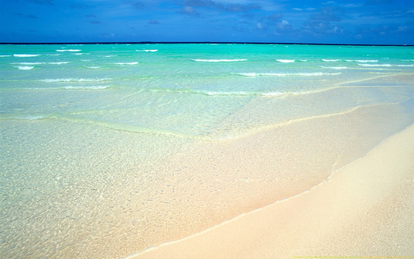Shallow Beach Wallpaper Pre