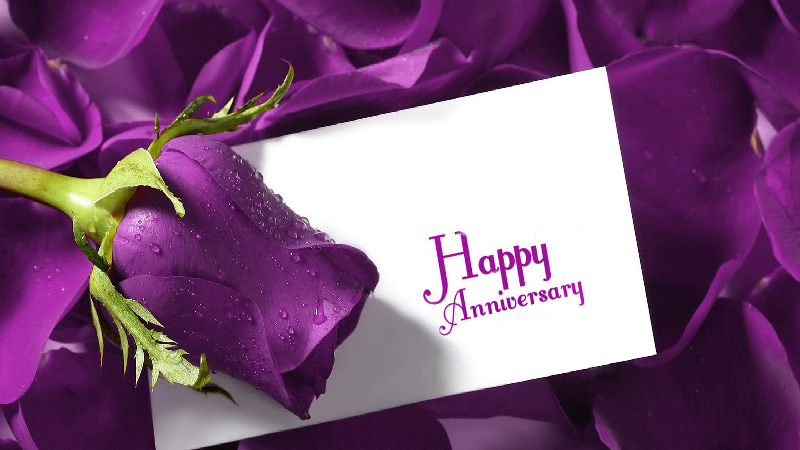 Free Download Anniversary Background Download 2600x1463 For Your Desktop Mobile Tablet Explore 76 Happy Anniversary Wallpapers Christian Happy Anniversary Wallpaper Images Wedding Anniversary Wallpaper