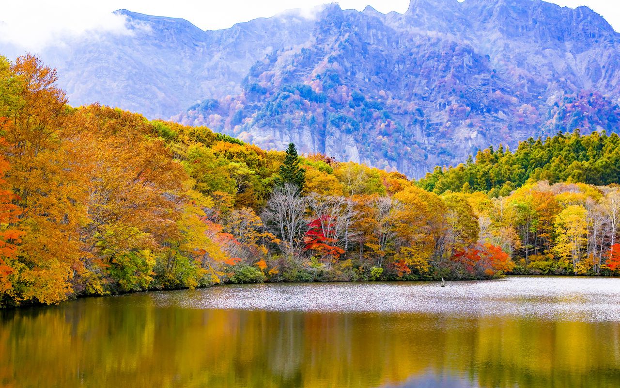 Download wallpaper 1280x800 japan togakushi lake mountains