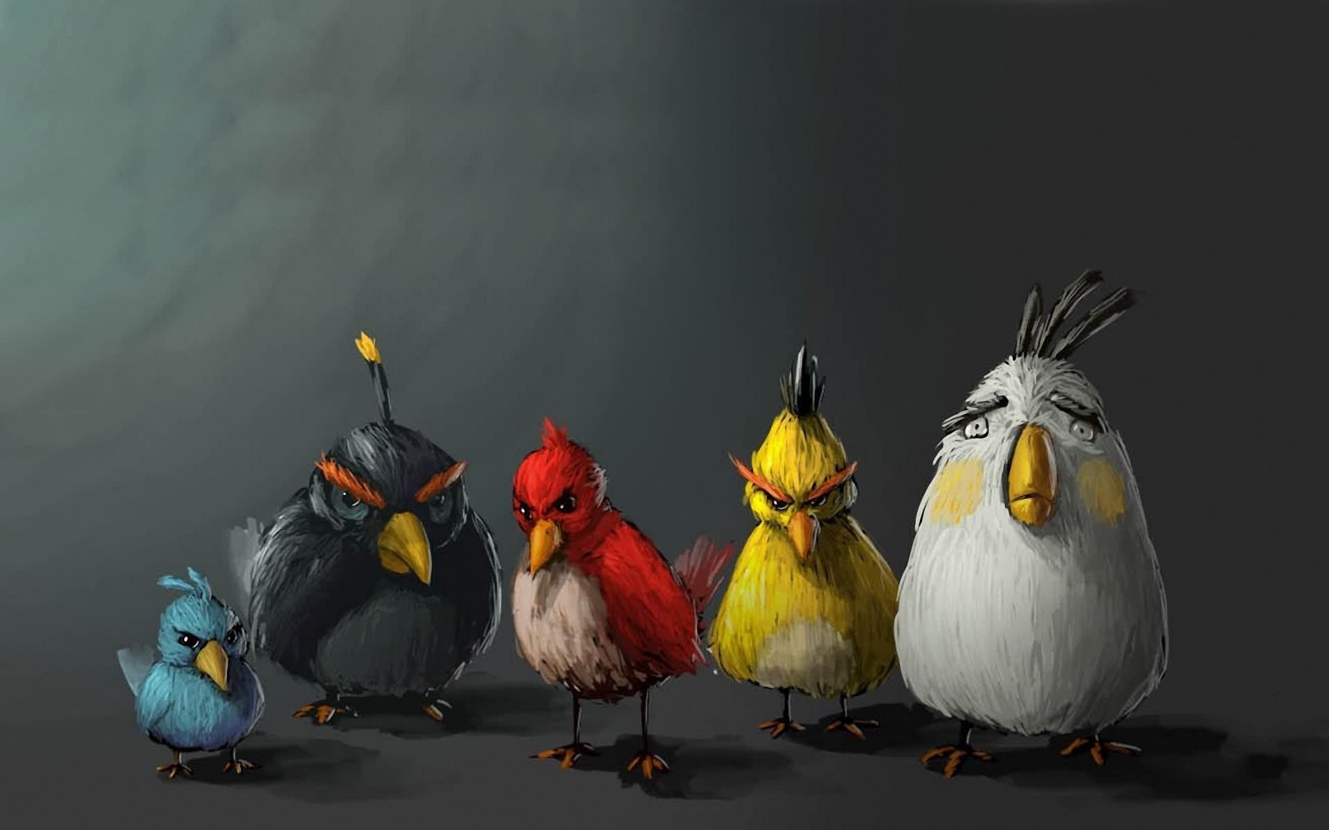 Drawn Angry Birds wallpapers and images   wallpapers pictures photos