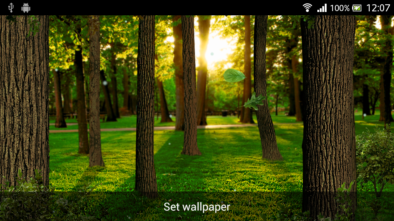 Enjoy Our Simple And Beautiful Sunny Forest Live Wallpaper