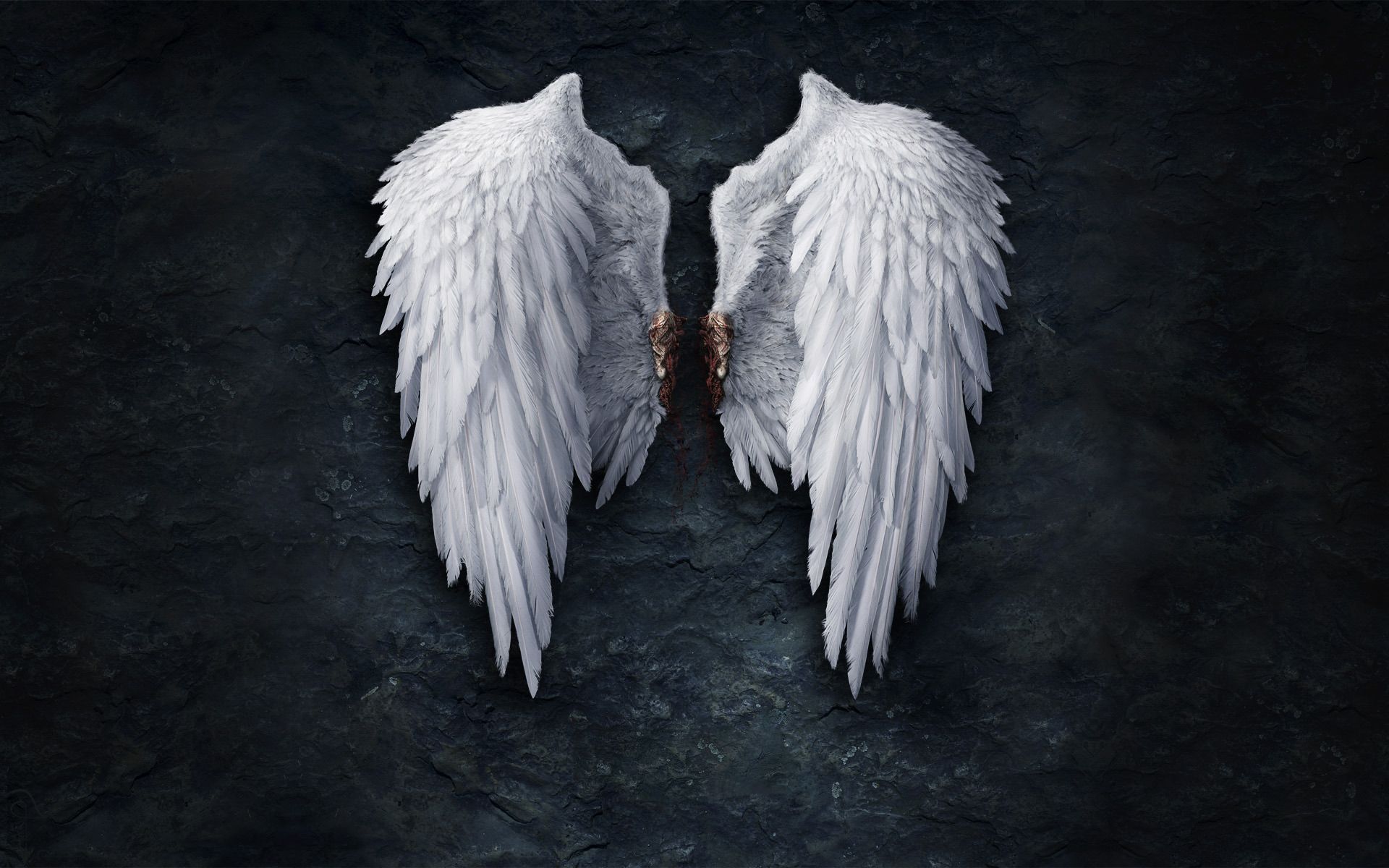 Broken Angel Wings Wallpaper